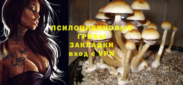 бошки Баксан