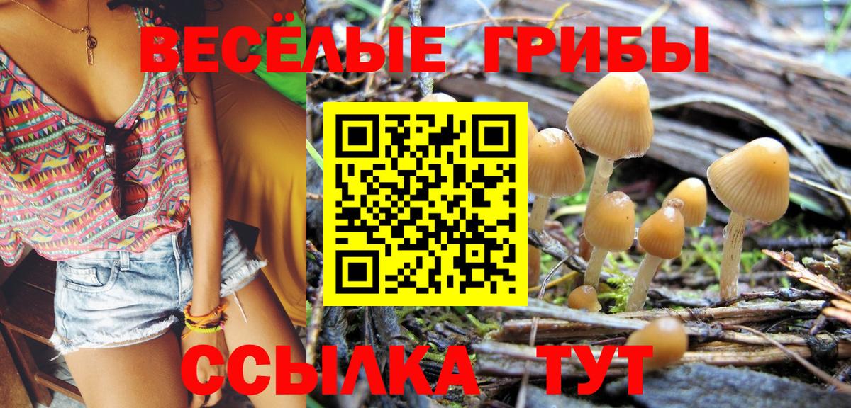 A-PVP Беслан