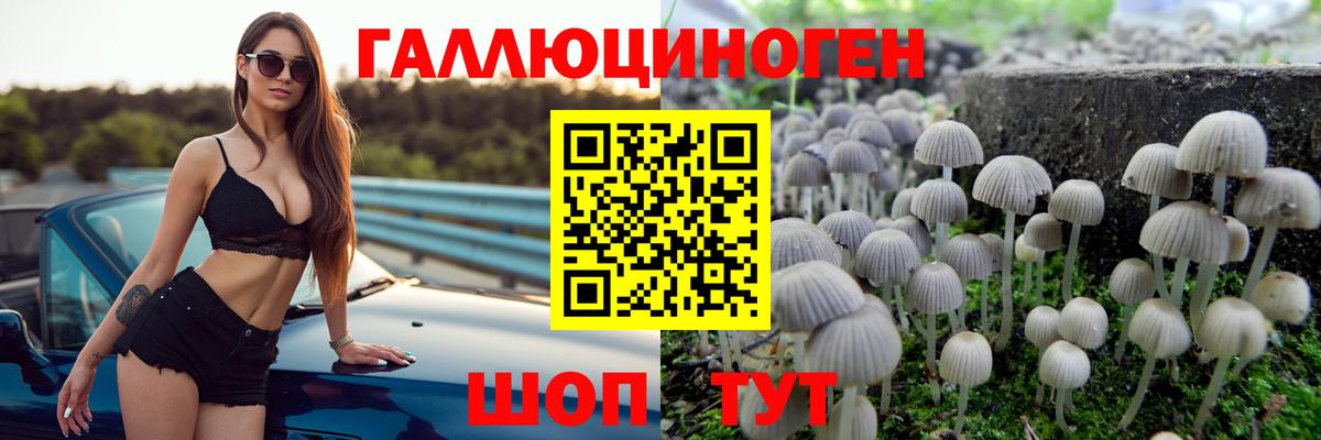 Псилоцибиновые грибы Psilocybine cubensis  Вход с VPN  Псилоцибиновые грибы Psilocybe  Беслан 